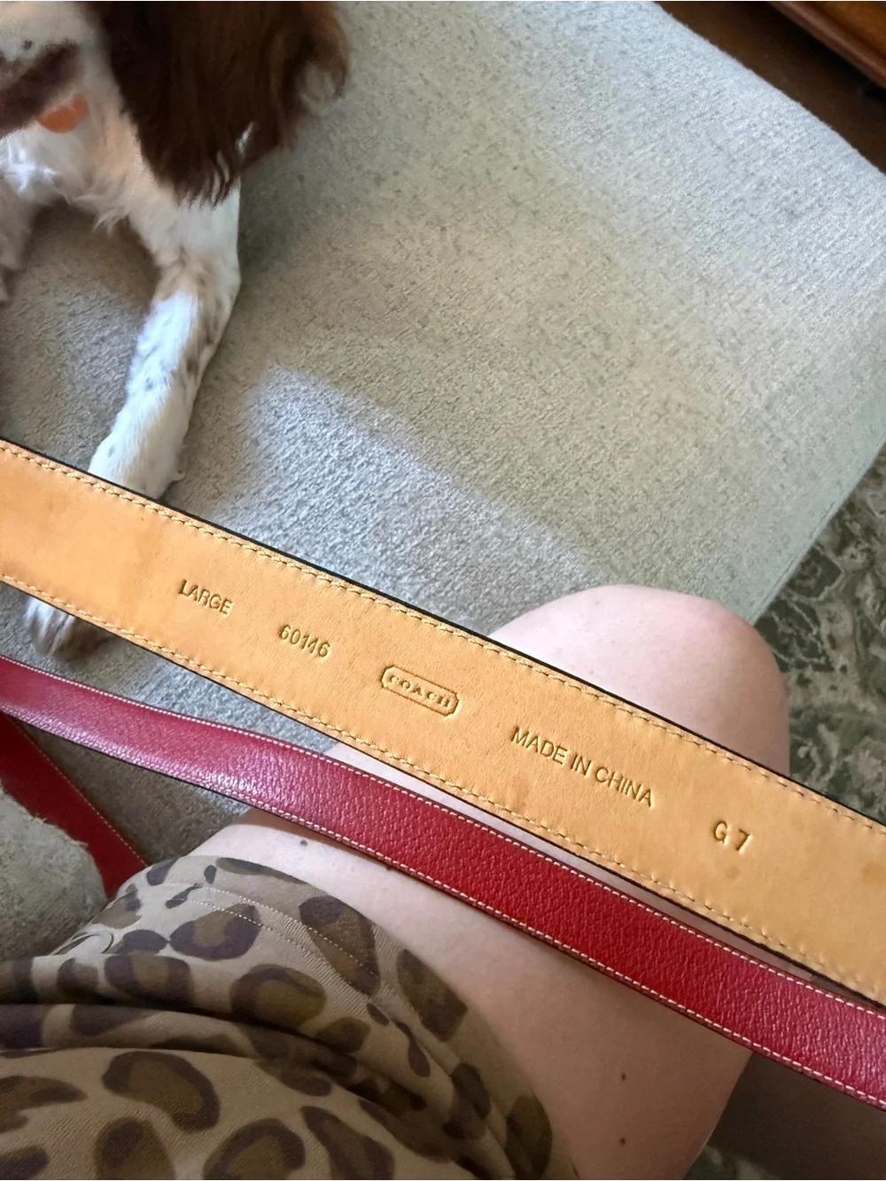 Coach Red Leather dog leash